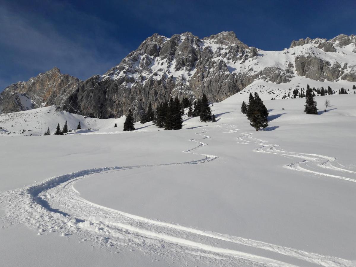 Appartement Gipfelblick- Tiroler Zugspitze Arena In บีเบอร์เวียร์ ภายนอก รูปภาพ